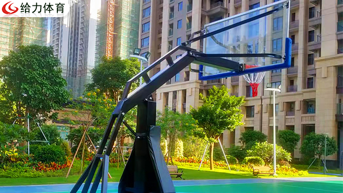 長沙學?；@球架